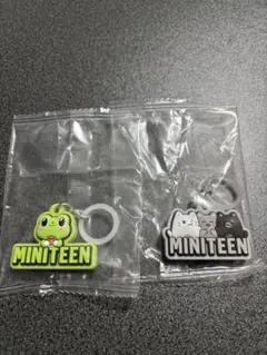 seventeen ミニティーン ガチャガチャ めじるしアクセサリー