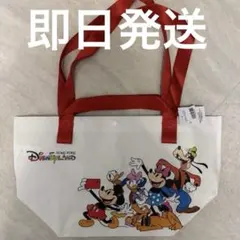香港ディズニーランド　ミッキー&フレンズ　ショッピングバッグ　Sサイズ