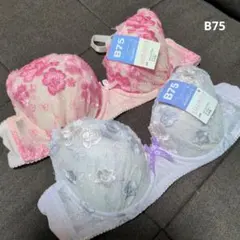 （739）花柄刺繍 B75ブラジャー2点セット