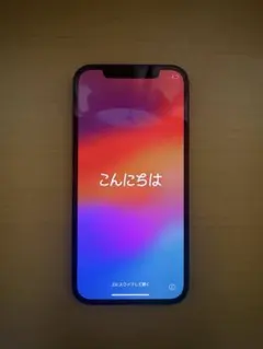iPhone12 64gb