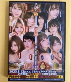 女子プロレス DVD キャットファイト FGI-22のサムネイル
