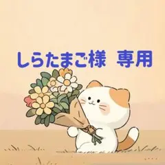 しらたまご様　専用(10/4迄)