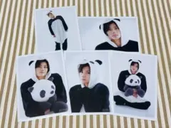 超特急 アロハ B9 大阪 生写真 ソロコンプ 5枚セット