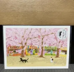 たびねこ「桜まつり」×10枚　春柄　もりとしのり②