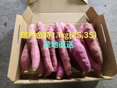 さつまいも鳴門金時1.1kg(2S,3Sサイズ)81