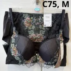 Wing/Wacoal ウイング/ワコール　レシアージュ　ブラジャー、ショーツ