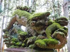 セナ様専用ページ