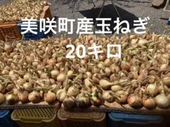 美咲町産新玉ねぎ20キロのサムネイル