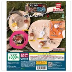 なめこ栽培キット めじるしアクセサリー2