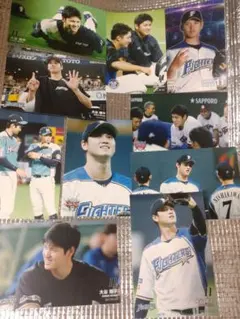 大谷翔平 ハイライトフォト 球団公式写真 ⑧ 10枚セット 日本ハム