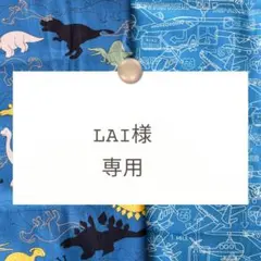 LAI様専用【巾着/ランチョンマット】ハンドメイドオーダー