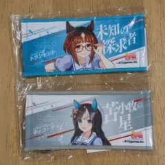 ウマ娘 6th リアルガチャ【トランセンド・ホッコータルマエ】