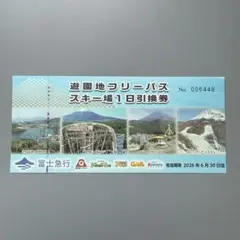 富士急ハイランド フリーパス 3枚 引換券のサムネイル