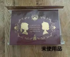 《 未使用 》ディズニーシー アナと雪の女王 レターセット