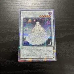 2025年最新】遊戯王 ガーデン・ローズ・メイデンの人気アイテム - メルカリ