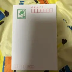 【新品未使用】　はがき　⑲
