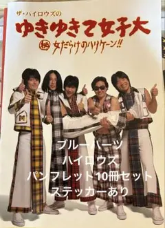 F*山様 ブルーハーツ、ハイロウズコンサートパンフレットコレクションステッカー付 2026年最新】ハイロウズ パンフレットの人気アイテム - メルカリ