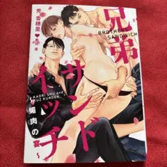 BL小説 秀 香穂里「兄弟サンドイッチ ～媚肉の宴～」