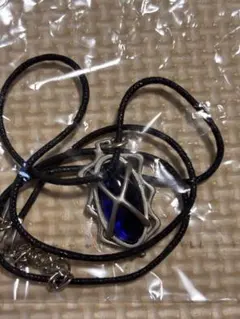 PS2用ソフト ベルウィックサーガ 初回予約特典アクセサリー 癒しの護符 未開封