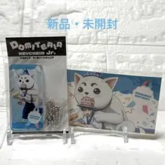 銀魂 定春バースデー 新八＆定春 ドミテリアキーチェーンJr. ＋ステッカーのサムネイル