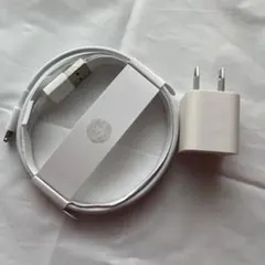 （正規品）LightningケーブルとACアダプタセット