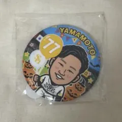 若鷹ガチャ 77 山本恵大