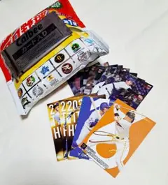 プロ野球チップスカード2024第１弾バラ
