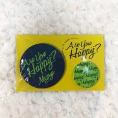 嵐 2016 Are you Happy? 会場限定 バッジ みどり