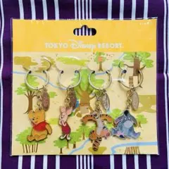 【新品未開封品】ディズニー リゾート キーチェーン プーさん ティガー 4点