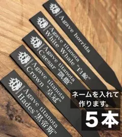 【オーダーメイド作品】　プランツタグ　植物タグ　園芸タグ　植物ラベル　アガベ ☆送料込み☆無骨なプランツタグ3本 オーダー文字入れ アガベ 塊根