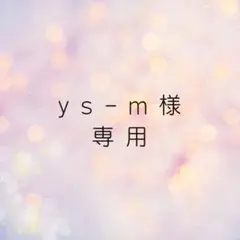 ys-m様専用THENORTHFACEホワイト ロンT M新品