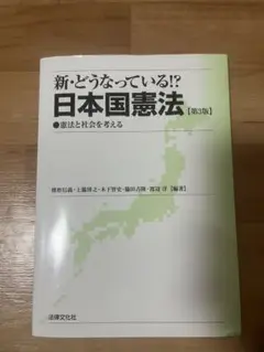 新・どうなっている！？日本国憲法【第3版】