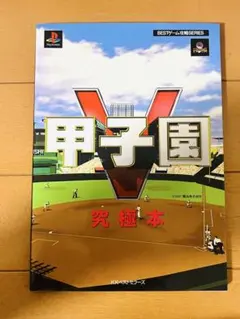 甲子園V 究極本　レア本