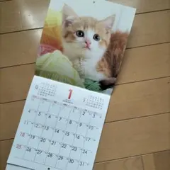 Item thumbnail for item 5e186407-9735-4978-a311-3824c542cb0a