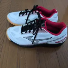 MIZUNO SKY BLASTER 3 バドミントンシューズ 24.0cmのサムネイル