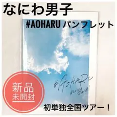 【新品未開封】なにわ男子 アオハルブック パンフレット