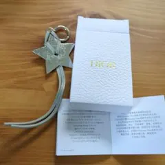 Dior 星型チャーム　キーホルダー シルバー　ブルー