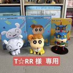【 T☆RR 様 専用 】