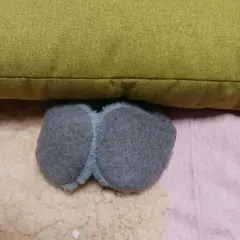 Item thumbnail for item 3b76dd3b-d337-4352-a846-a25d9d62304e