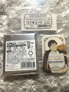 ハイキュー　スクエア缶バッジ　クールダウン　影山　セブンネット