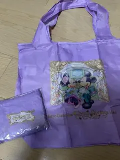 ファンタジースプリングスホテル　ファンタジーシャトー　エコバック