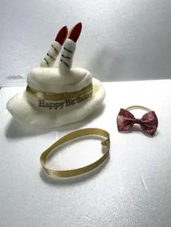 スリコ　ぬい服　誕生日10センチのサムネイル