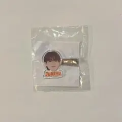 treasure カプセルトイ　ヘアクリップ　ジュンギュ