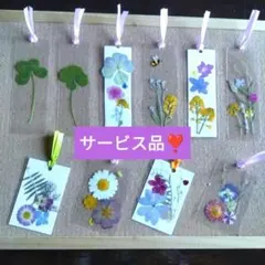 ハンドメイド　本の栞　しおり　ラミネート加工　押し花　ラメ♡　«No.02» ハンドメイド 本の栞 しおり ラミネート加工 押し花 ラメ♡ «No.02