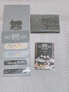 Stray Kids スキズ dominATE アプグレ特典 エコパスタジアム