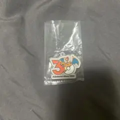 ポケモン 30周年　タカラトミー　メタルチャームマスコット リザードン