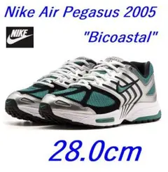 L２新品 28.0cm ナイキ エア ペガサス 2005 HQ3482-095