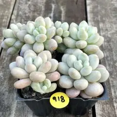 らら☆プロフ必読願います(*´꒳`*)様 リクエスト 3点 まとめ商品