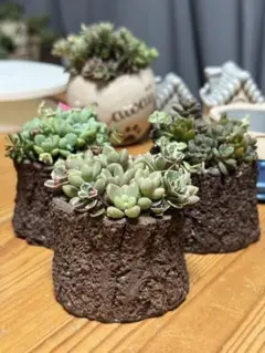 nikejapan16様 リクエスト 2点 まとめ商品