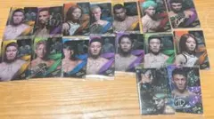 RIZIN選手✨ウエハース2025 まとめ売り16枚セット （シークレット2枚）